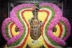 temple news