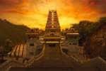மருதமலை முருகன் கோவிலுக்கு தக்கார் நியமனம்