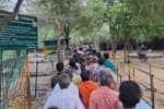 சதுரகிரியில் ஆடி அமாவாசை விழா; சிரமங்கள் களையப்படுமா.. பக்தர்கள் செய்ய வேண்டியது என்ன?