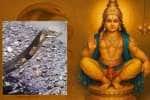 temple news