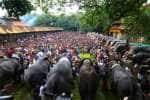 temple news