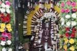 temple news