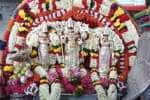ஏழாம் படை வீடாக கருதப்படும் மருதமலையில் குவிந்த பக்தர்கள்