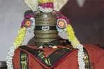சந்திர மவுலீஸ்வரருக்கு பிரதோஷ சிறப்பு வழிபாடு