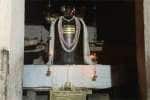 temple news