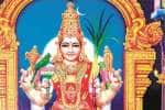 temple news