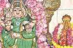 temple news
