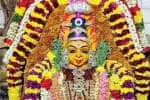 நெல்லிக்குப்பம் புத்து மாரியம்மன் கோவிலில் சாகை வார்த்தல்
