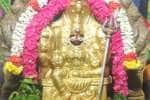 வி.புத்துார் மாரியம்மன் கோவிலில் ஆடிப்பூர தேர் தீமிதி விழா