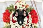 புத்தேரி வரதராஜ பெருமாள் கோவிலில் கருட பஞ்சமி பூஜை