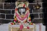 பிரளயகாலேஸ்வரர் கோவிலில் கருட பஞ்சமி சிறப்பு வழிபாடு