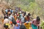 temple news