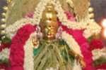 போடி ஐயப்பன் கோயிலில் நிறை புத்தரிசி பூஜை; நெற்கதிர் அலங்காரத்தில் சுவாமி
