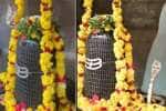 சம்பா பரமேஷ்வர் கோவிலில் மூலவர் மீது வந்து அமர்ந்த நாகம்; நாகபஞ்சமியில் பரவசம்