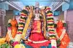 temple news