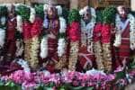 temple news