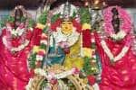 temple news