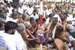 temple news