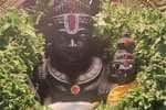temple news