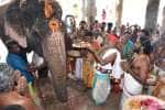 temple news