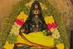 temple news