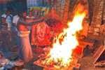 temple news