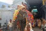 temple news