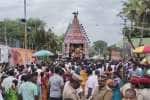 பிடாரி மீனாட்சியம்மன் கோவில் தேரோட்டம்; ஆடு பலியிட்டு நேர்த்திக்கடன்