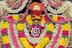 temple news
