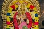 சோமனூர் ராமலிங்க சவுடேஸ்வரி அம்மன் கோவிலில் திருவிளக்கு பூஜை