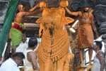 temple news