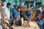 temple news