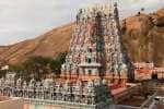 மத்திய தொல்லியல் துறைக்கே திருப்பரங்குன்றம் மலை சொந்தம் ஐகோர்ட்டில் மத்திய அரசு வாதம்