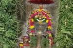 temple news
