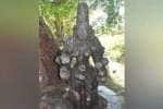 temple news