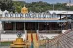 temple news