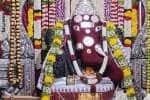 temple news