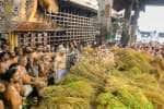 temple news
