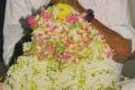 temple news