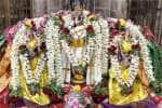 temple news