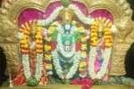 அன்னூர் கரிவரதராஜ பெருமாள் கோவிலில் ஏகாதசி சிறப்பு அபிஷேகம்