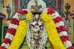 திருவந்திபுரம் மணவாள மாமுனிகள் கோவிலில் திருமஞ்சனம்