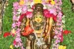திருப்பூரில் ஓணம் பண்டிகை; தங்க கவச அலங்காரத்தில் குருவாயூரப்பன்
