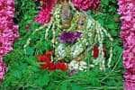 temple news