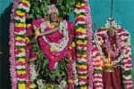 ரிஷிவந்தியம் அர்த்தநாரீஸ்வரர் கோவிலில் நடராஜருக்கு சிறப்பு அபிஷேகம்