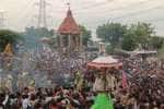 திட்டக்குடி பூமாலையப்பர், பச்சையம்மன் கோவிலில் தேர் திருவிழா  