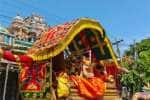 temple news