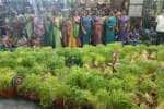 temple news