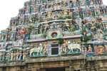 temple news