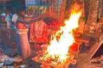 temple news